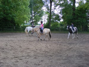 Training auf dem Sandplatz